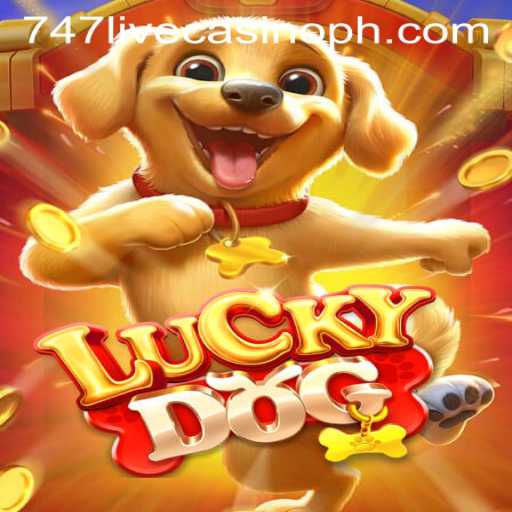 Exploring LuckyDog: A Thrilling Experience at 747 Live Casino