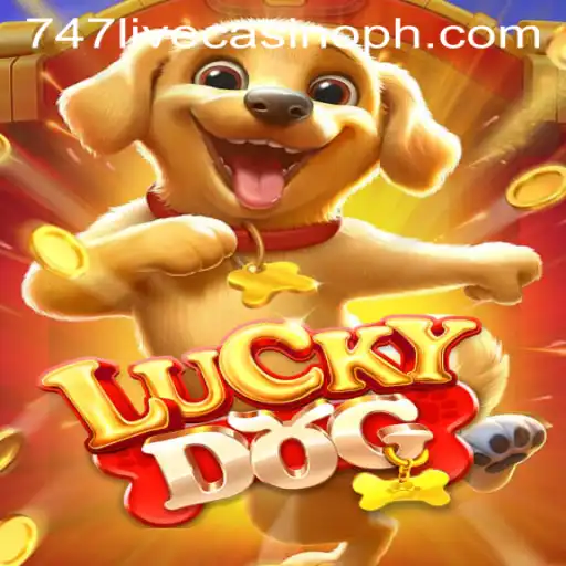 Exploring LuckyDog: A Thrilling Experience at 747 Live Casino